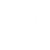 Chic Chicken