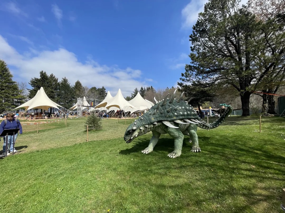 Un Gastonia, dinosaure cuirassé grandeur nature, sur la pelouse du parc Dino World à Villeneuve
