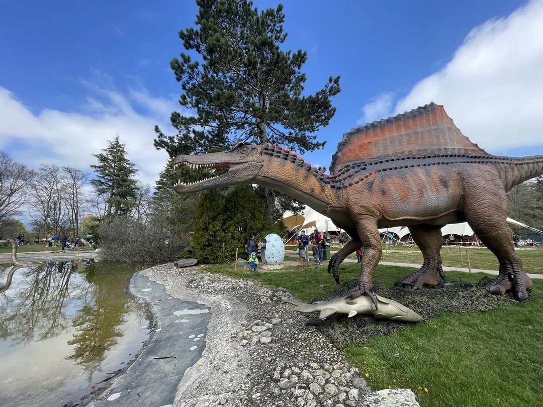 Spinosaure grandeur nature au bord de l'eau dans le parc Dino World à Villeneuve