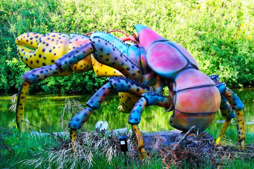 Insecte géant coloré du parcours Insectopia au bord de l'eau