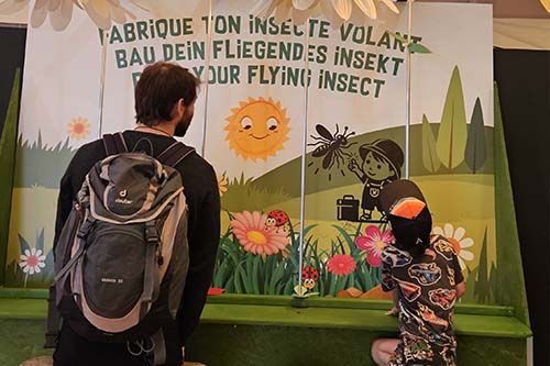 Atelier fais voler ton insecte à Insectopia