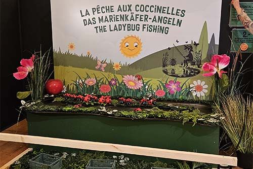 Jeu de la pêche aux coccinelles à Insectopia
