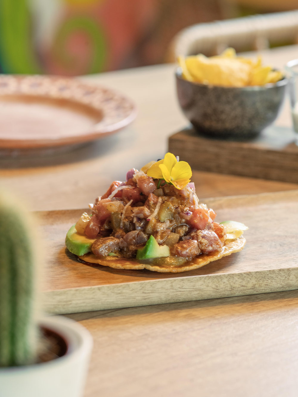 Tostada garnie de viande et d’avocat, cactus en décor de table