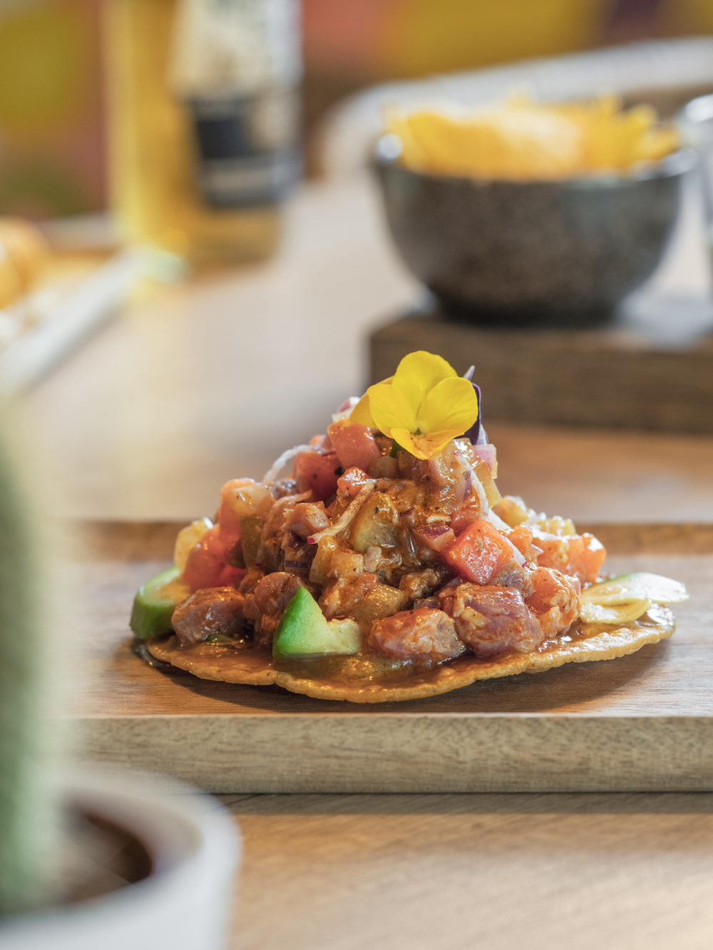 Tostada garnie, avocat et coriandre