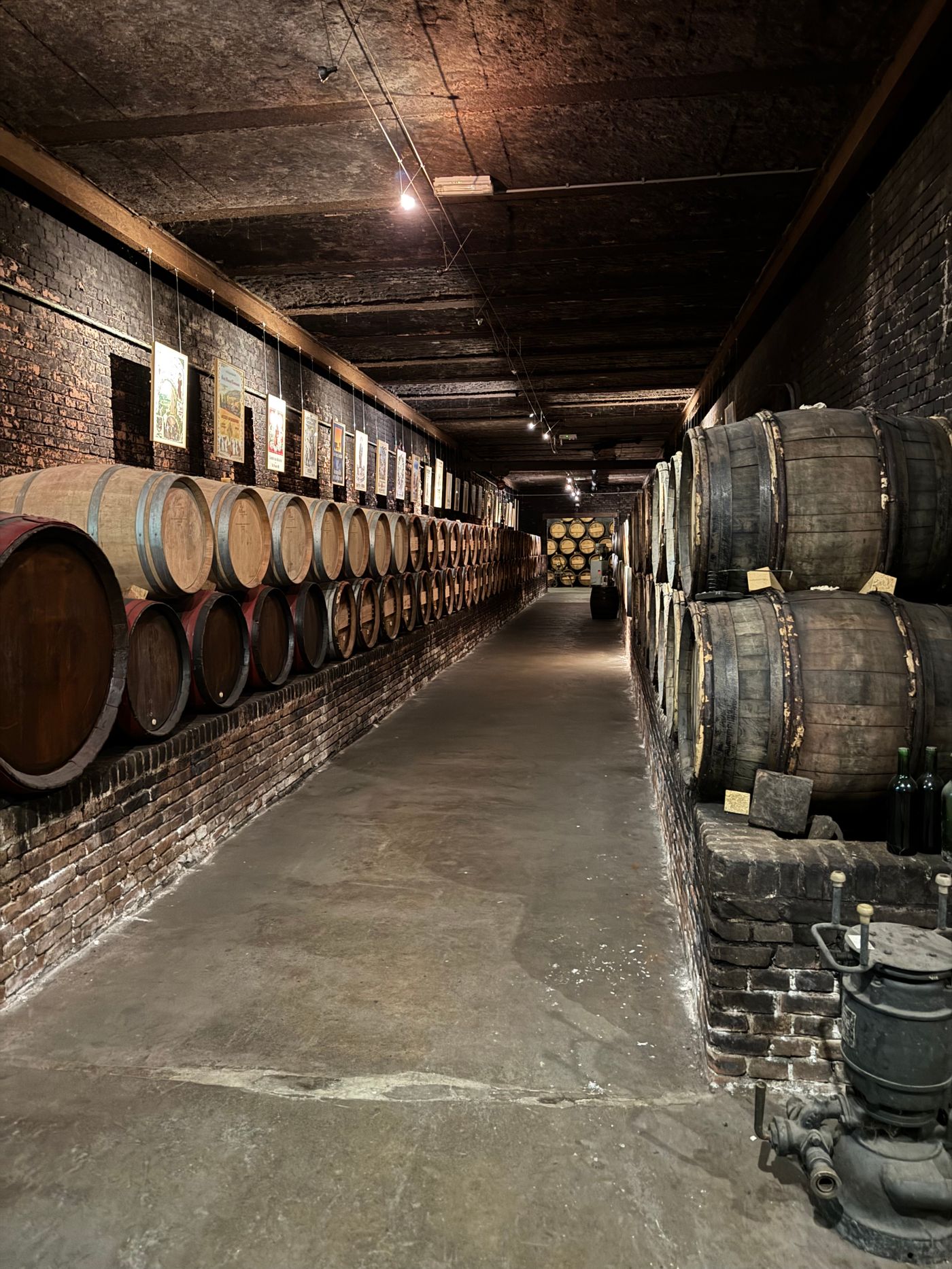 Fûts de vieillissement dans les caves de la Distillerie Morand