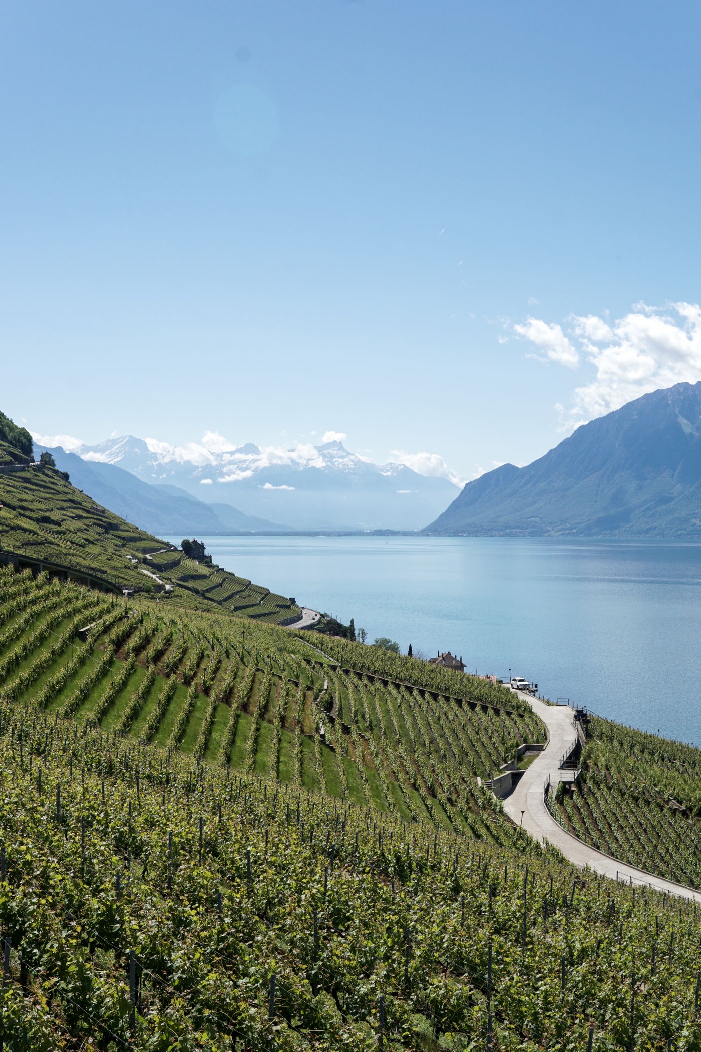 Vergers et paysage du Valais, berceau des fruits de la Distillerie Morand