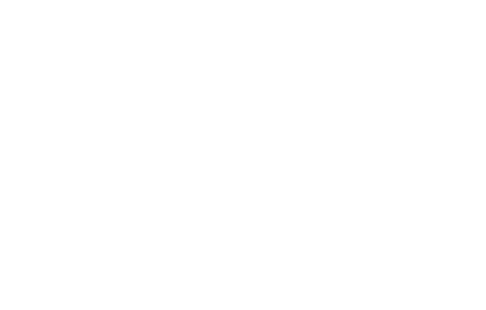 We Love Switzerland, WLS Ventures SA
