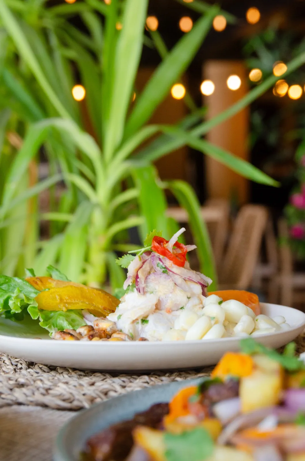 Un ceviche servi sous les guirlandes lumineuses de La Latina